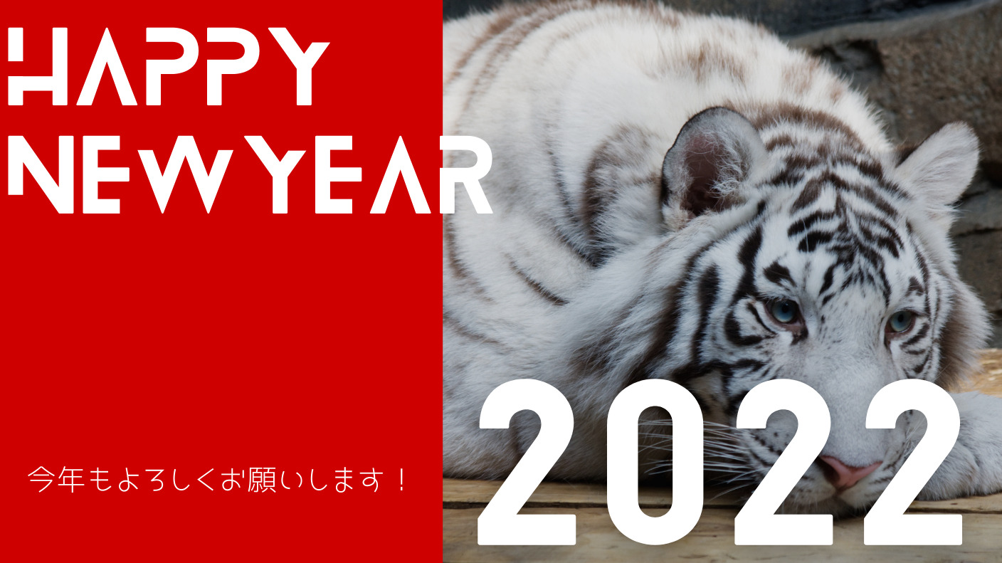 【謹賀新年】新しい年に始めてみたいこと、食べてみたいもの【2022年】